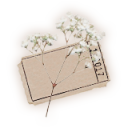 antiiromanticx avatar