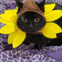 antimicrobialowl avatar