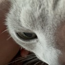 antipastotheif avatar