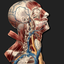 antique-anatomy-blog avatar