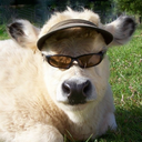 antiquedinoboy-blog avatar