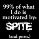 antis-are-stupid avatar