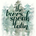 antisocial-bookdragon avatar