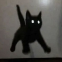 antisocial-fae13 avatar