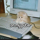 antisociallizard avatar