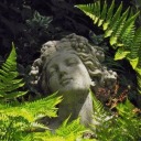 antisocialsocialite avatar