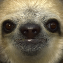 antisyntaxfactory avatar