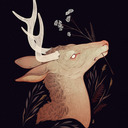 antlersandroots avatar