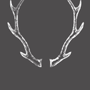 antlersandthorns avatar