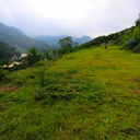 antonio83802746 avatar