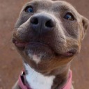 antoniothereaper avatar