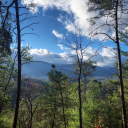 anunforgettable--journey avatar