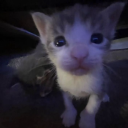 anxiety-angel1 avatar