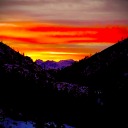 anxiety-at-the-party avatar