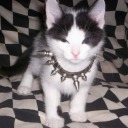 anxiety-cowboy avatar