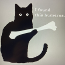 anxiety-slayer7 avatar