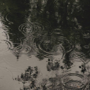 anxiety-turtle avatar