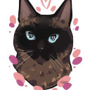 anxietyaardvark avatar