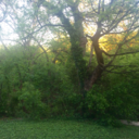 anxietyandhumor avatar