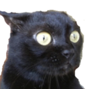 anxietycat avatar