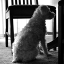 anxietyismymood avatar