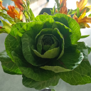 anxietyortrust avatar