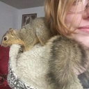 anxietysraptor avatar