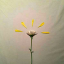 anxious-peach avatar