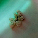 anxiouslylookingforalife avatar