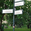 anxioustravellersguide avatar