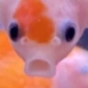 any-elsewhere avatar