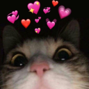 anyadszeretett avatar