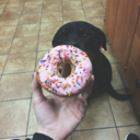 anyone--anything-blog avatar