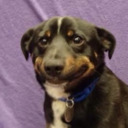 anyth1ng4v1ews avatar