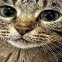 anythinggoesanything avatar