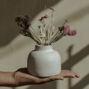 anywaytheblogblows avatar