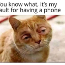 anywayuwantitthatsawayugotit avatar