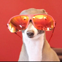 anywhere-but-hhere avatar