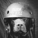 anywherebut-there avatar