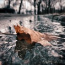 anywll-blog avatar
