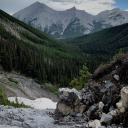 anyythingforourmoony avatar