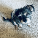 aok-worldwide avatar