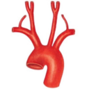 aorticarchnemesis avatar