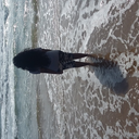 apageinyourhistory avatar