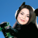 apandacosgrove avatar