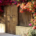 aparadiseformadda avatar