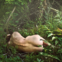 apartband-blog avatar