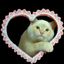 apartmanlarmustakilolsa avatar