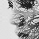 apartofthegrey avatar