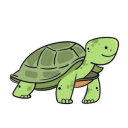 apathetic-tortoise avatar